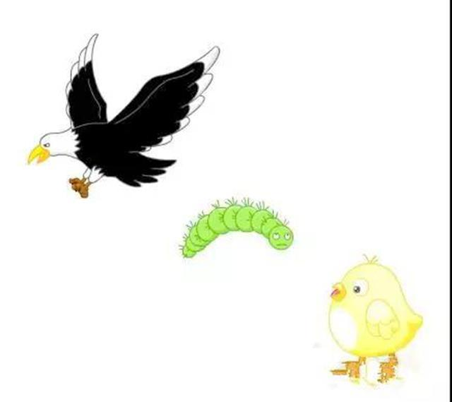 1672367694918067.png 图片5.png